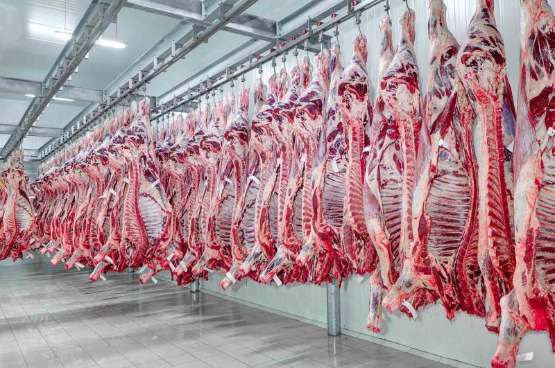 Exportação de Carne Bovina em Maio Cresce 11% em Volume Mas Cai 11% em Receita