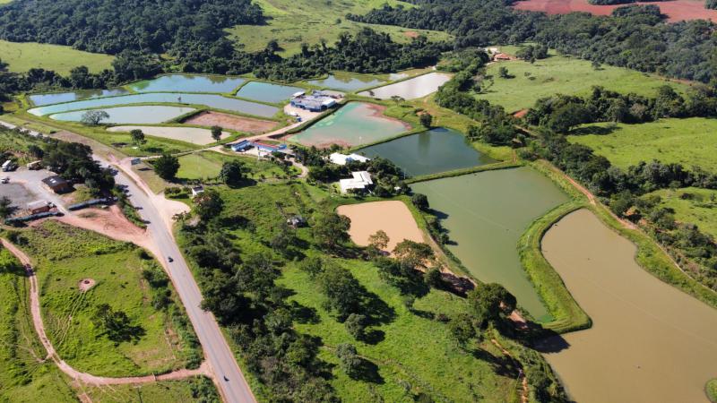 Licenciamento Ambiental de Piscicultura