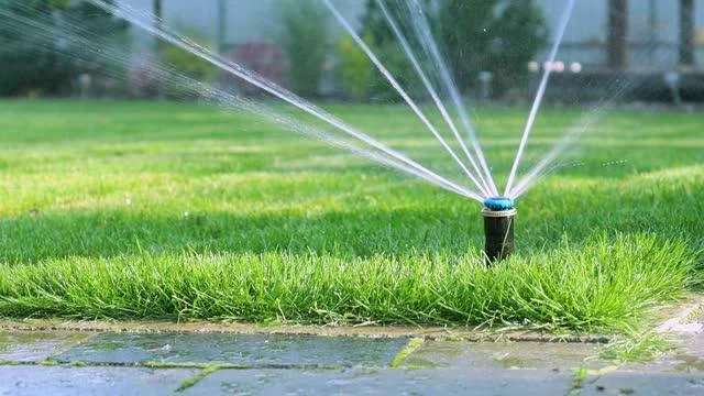 Projeto de irrigação por aspersão pastagem