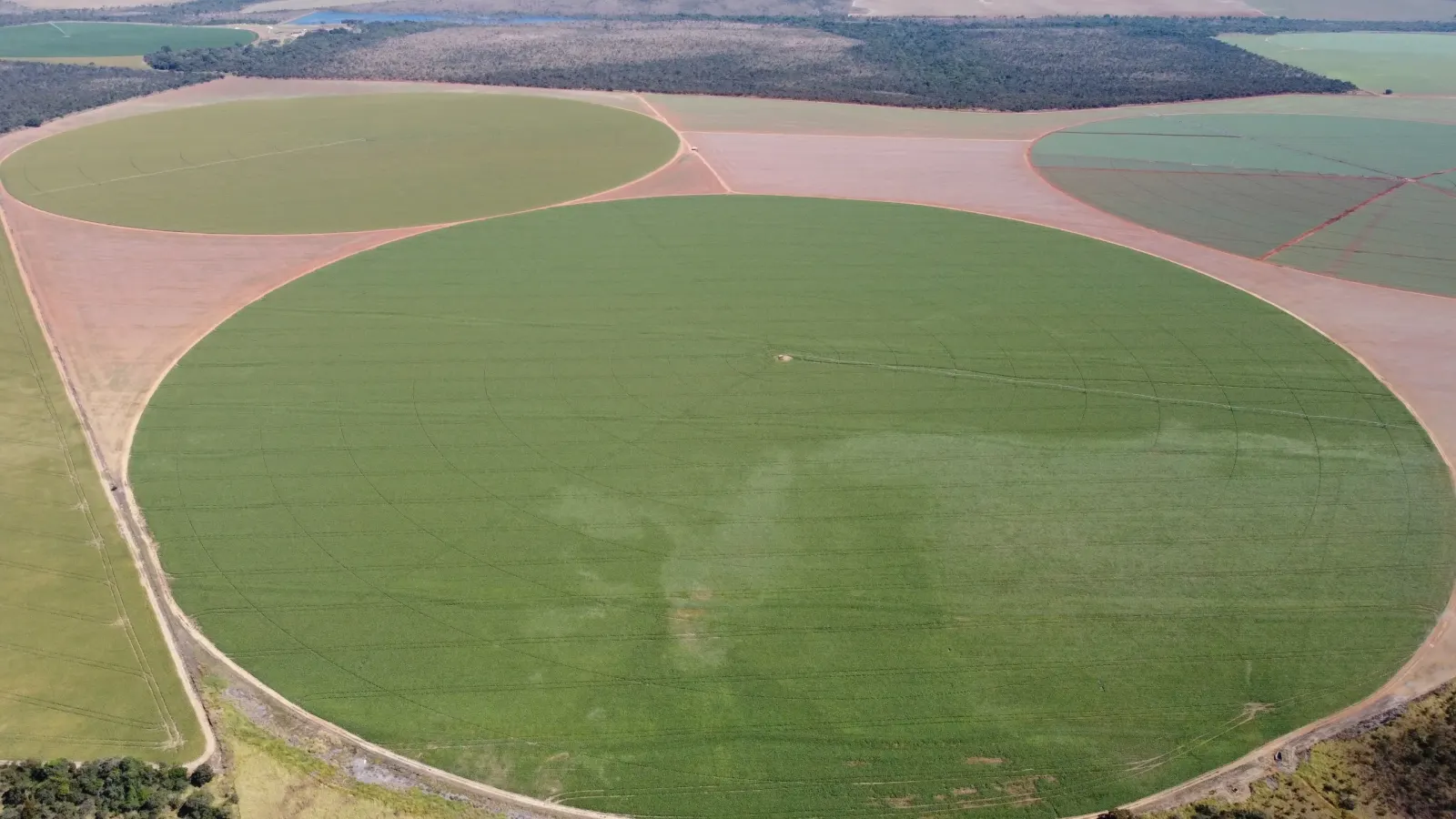 Vista aérea de lavoura irrigada por pivôs centrais