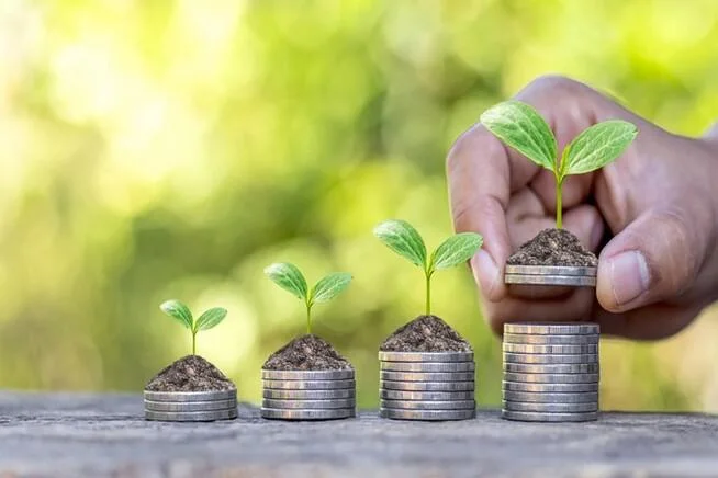 Consultoria de Viabilidade Rural