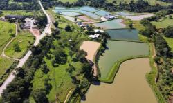 Licenciamento Ambiental de Piscicultura