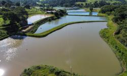 Licenciamento Ambiental de Piscicultura