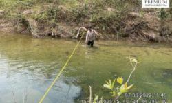 Medição de Vazão – Rio Bonito